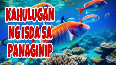 number ng isda sa panaginip|Pinangarap ko na nakakahuli ako ng isda sa isang panaginip .
